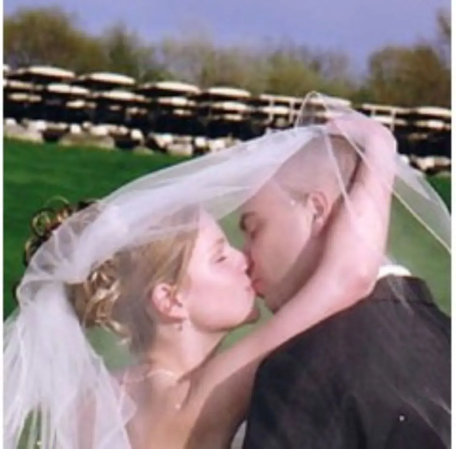 A bride and groom kissing under a veil on a golf course
