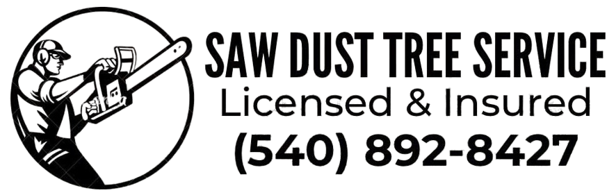Tree Service in Roanoke, VA | Saw Dust Tree Service