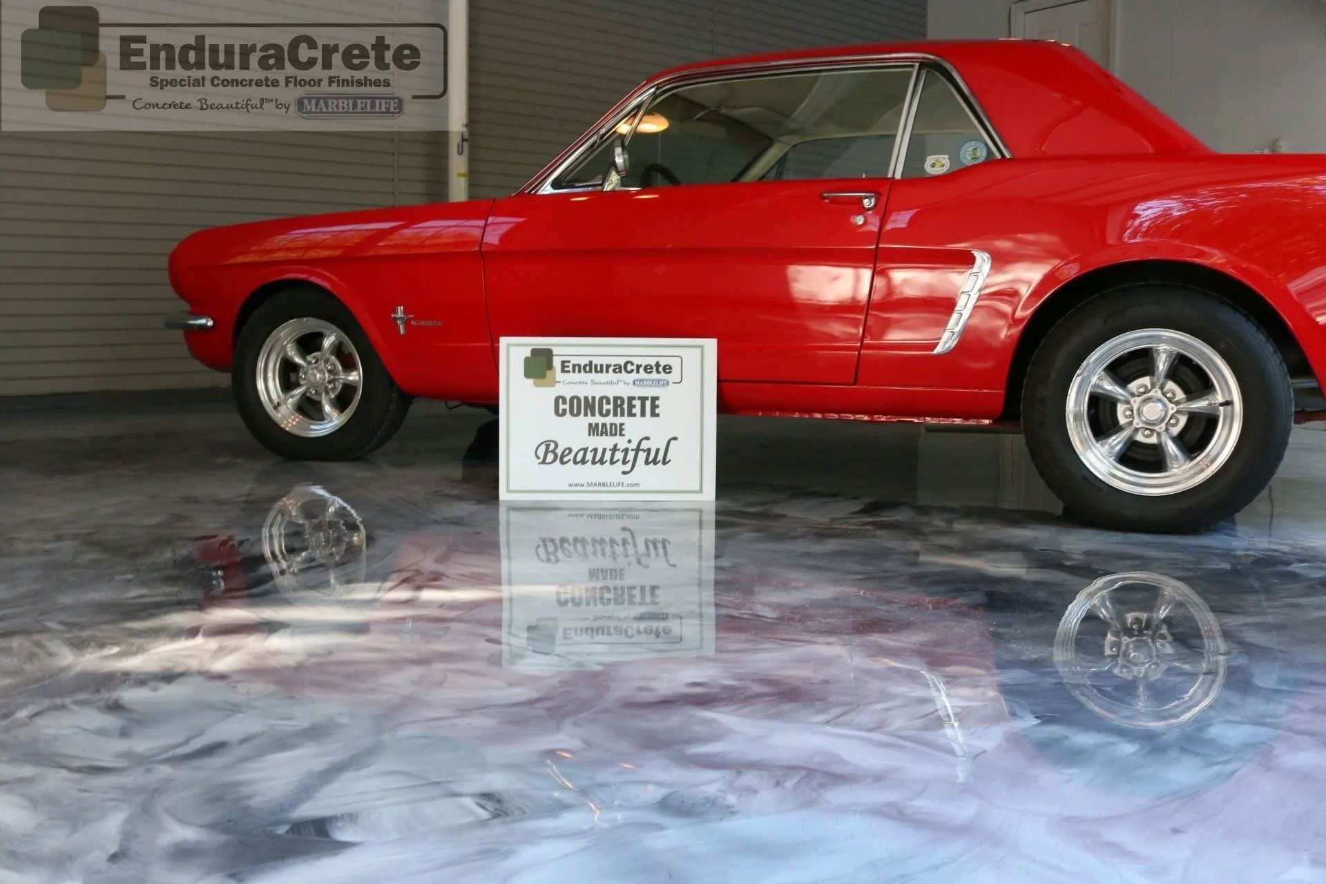 Concrete polishing 6