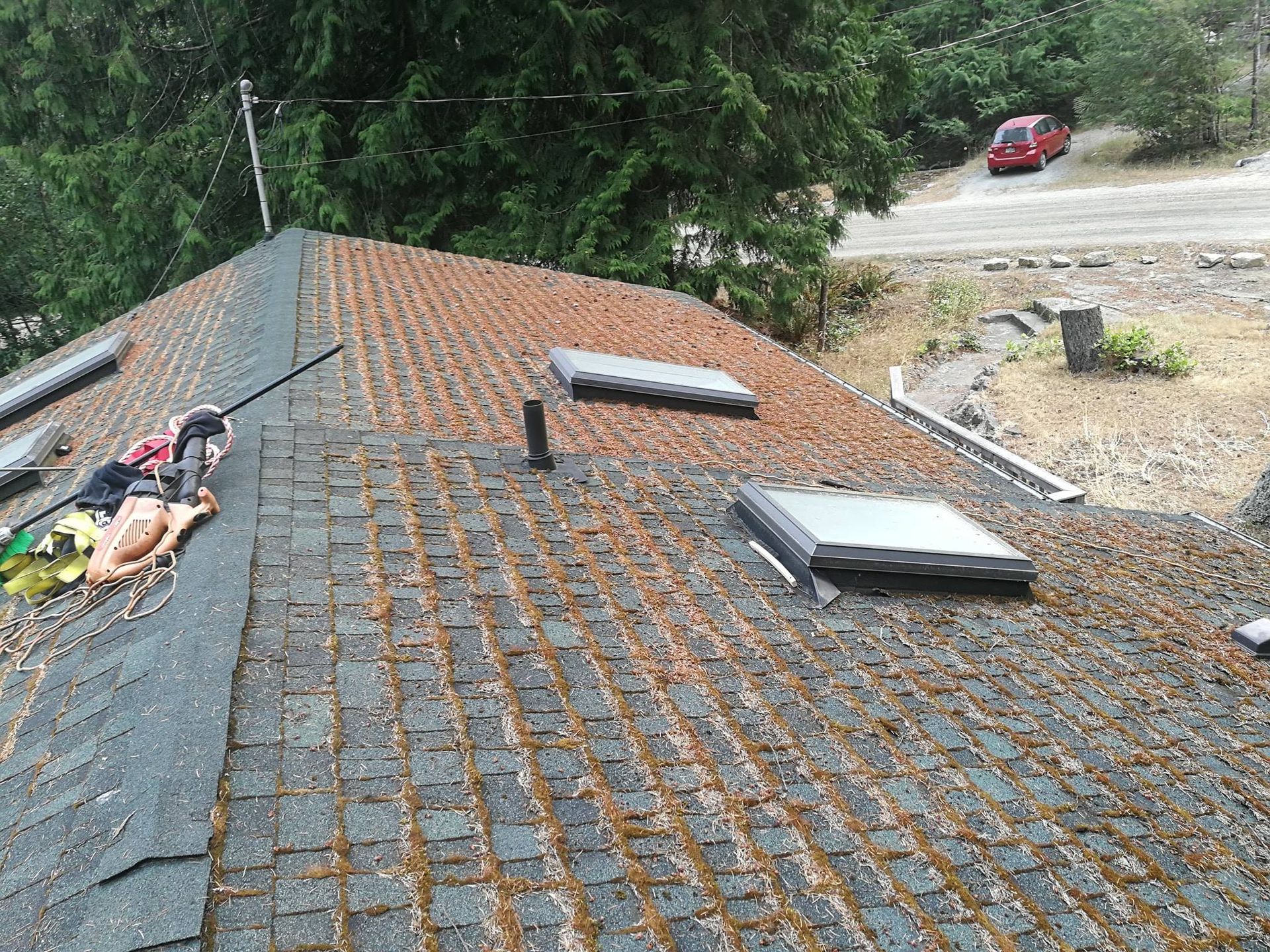 moss covered asphalt shingles