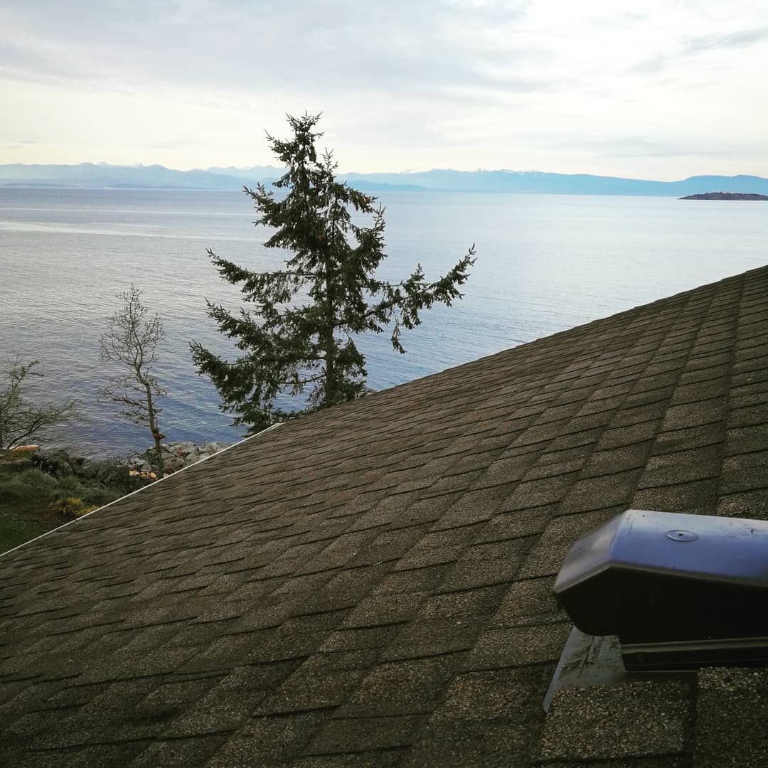 moss removal parksville