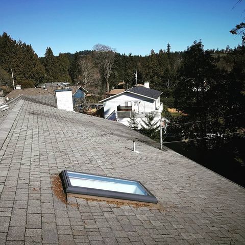 Nanaimo Moss Removal