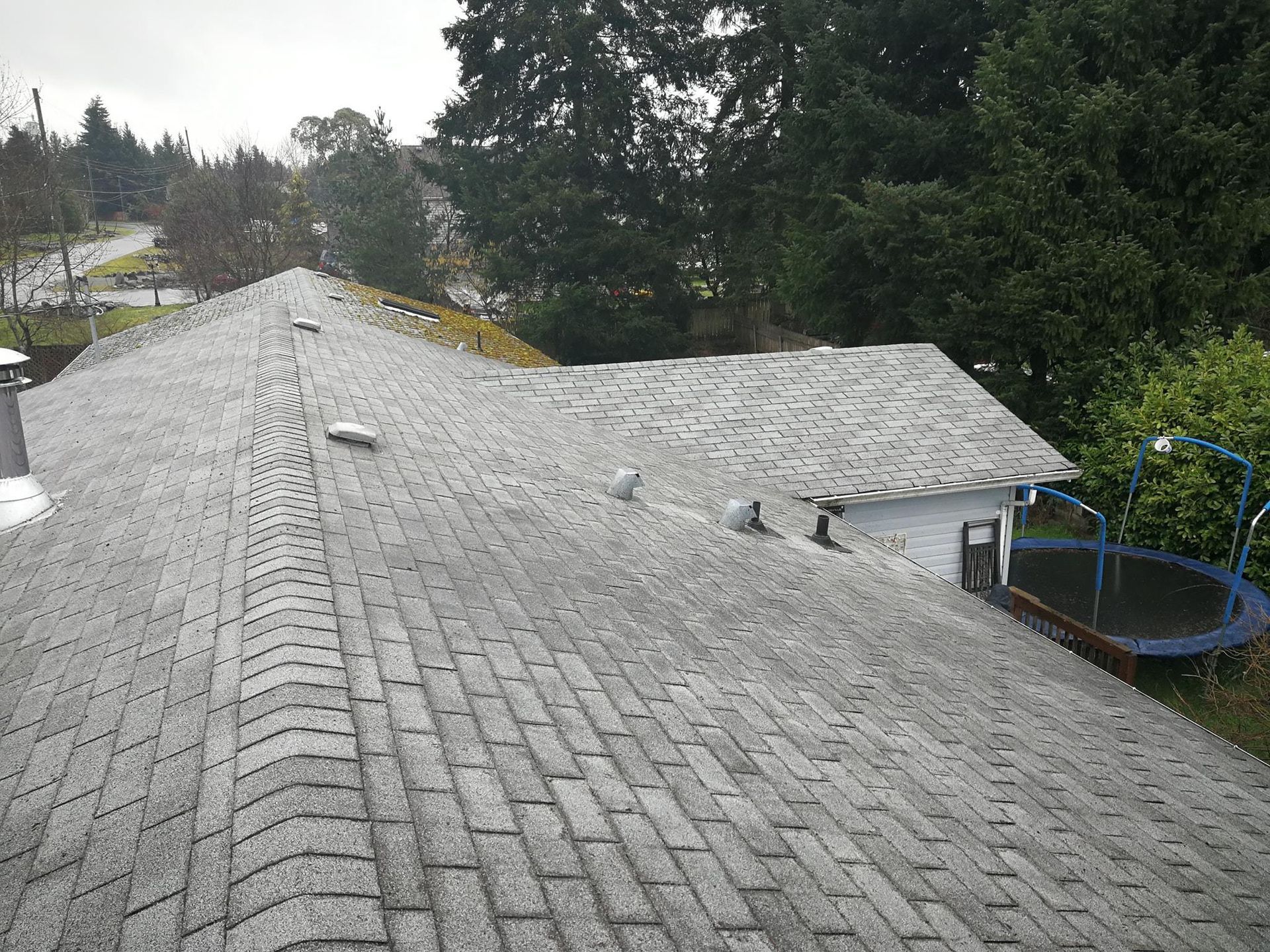 clean shingled residential roof in nanaimo
