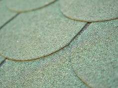 clean green roof shingles