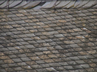 a residential roof after a moss removal service