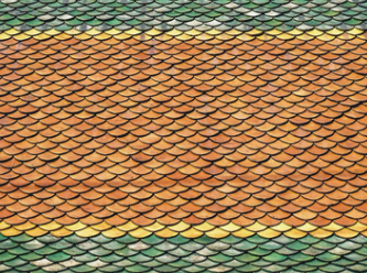 cleaned yellow and green roof shingles