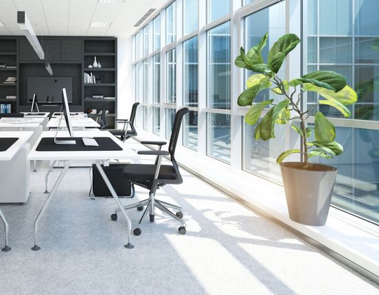 Modern office with white desks, black chairs, and computers
