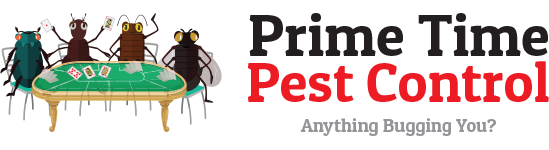 Prime Time Pest Control