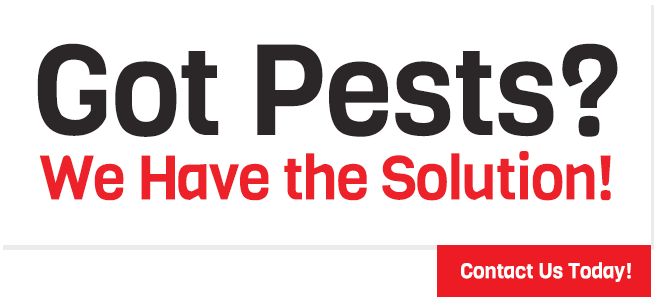 a sign that says got pests we have the solution