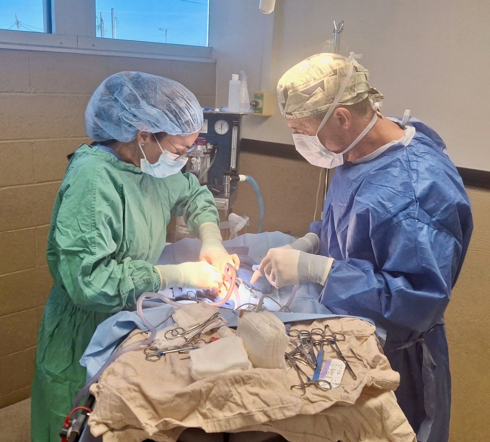 Two people in surgical attire operating on an animal on a table.