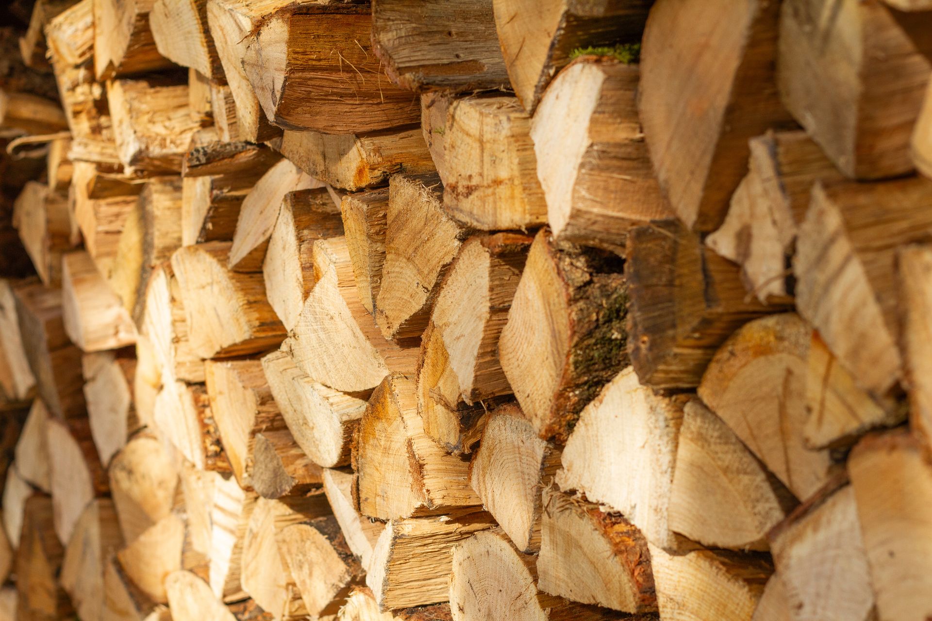 Stacked firewood logs. Light brown and tan wood textures. Natural sunlight.