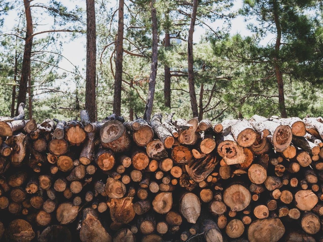 Pile of Firewood Ready for Delivery