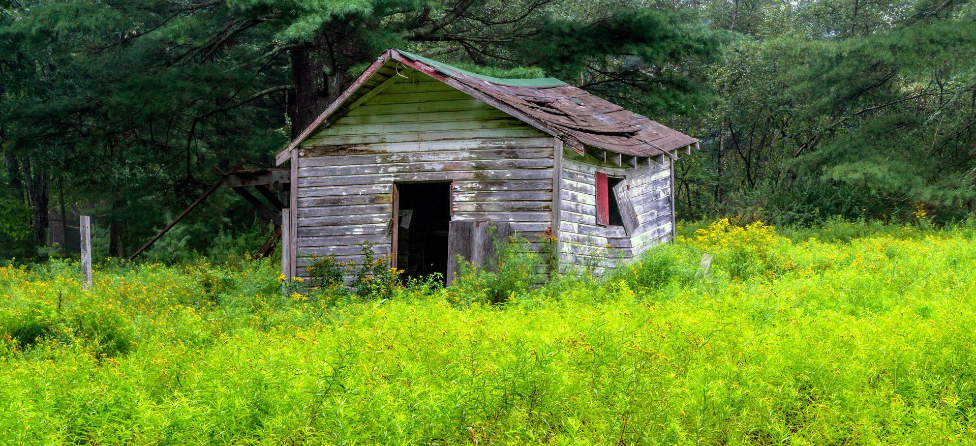 Old Shed Ready for Light Demolition