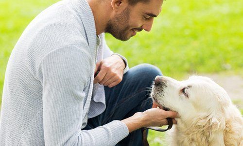 View of a Pet being loved by his owner