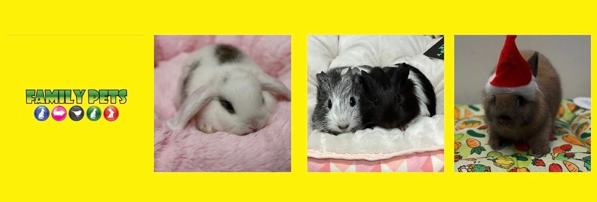 View of a family enjoying with their healthy dog 