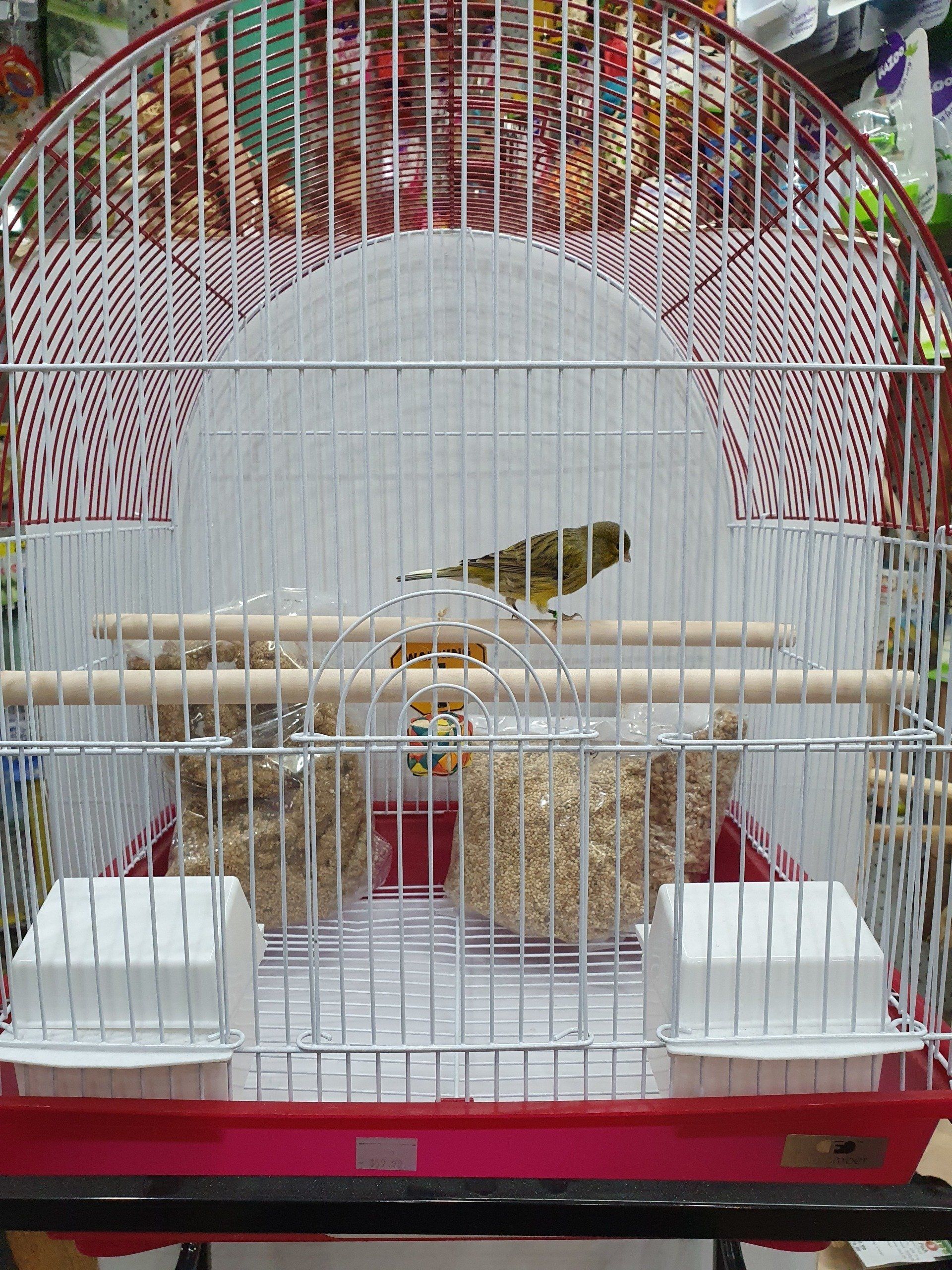small cage