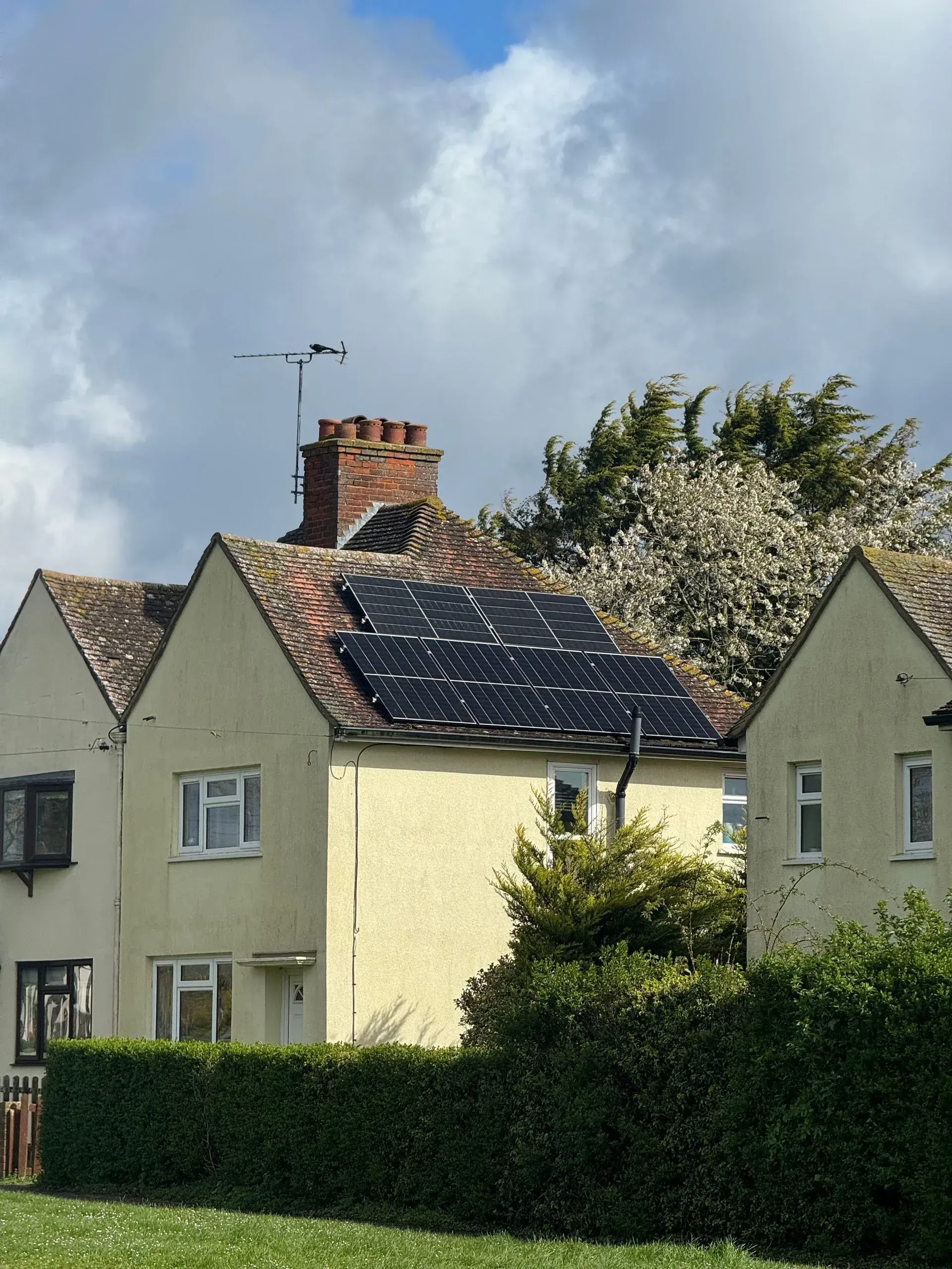Row of yellow houses with solar panels on a roof, topped by a brick chimney, with a green bush in the foreground.