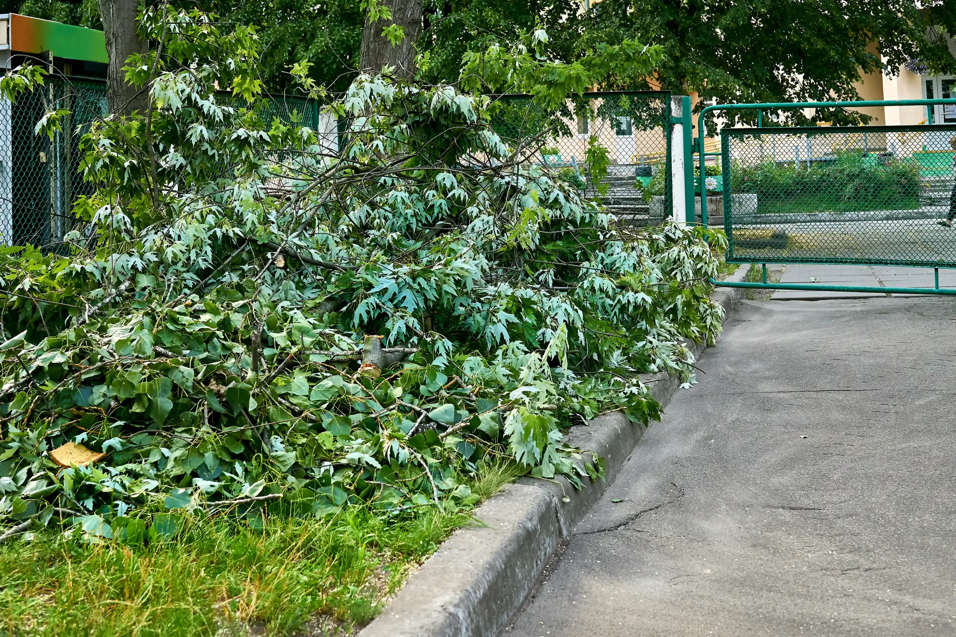 Pile of freshly cut green branches and leaves next to a curb and a green gate.