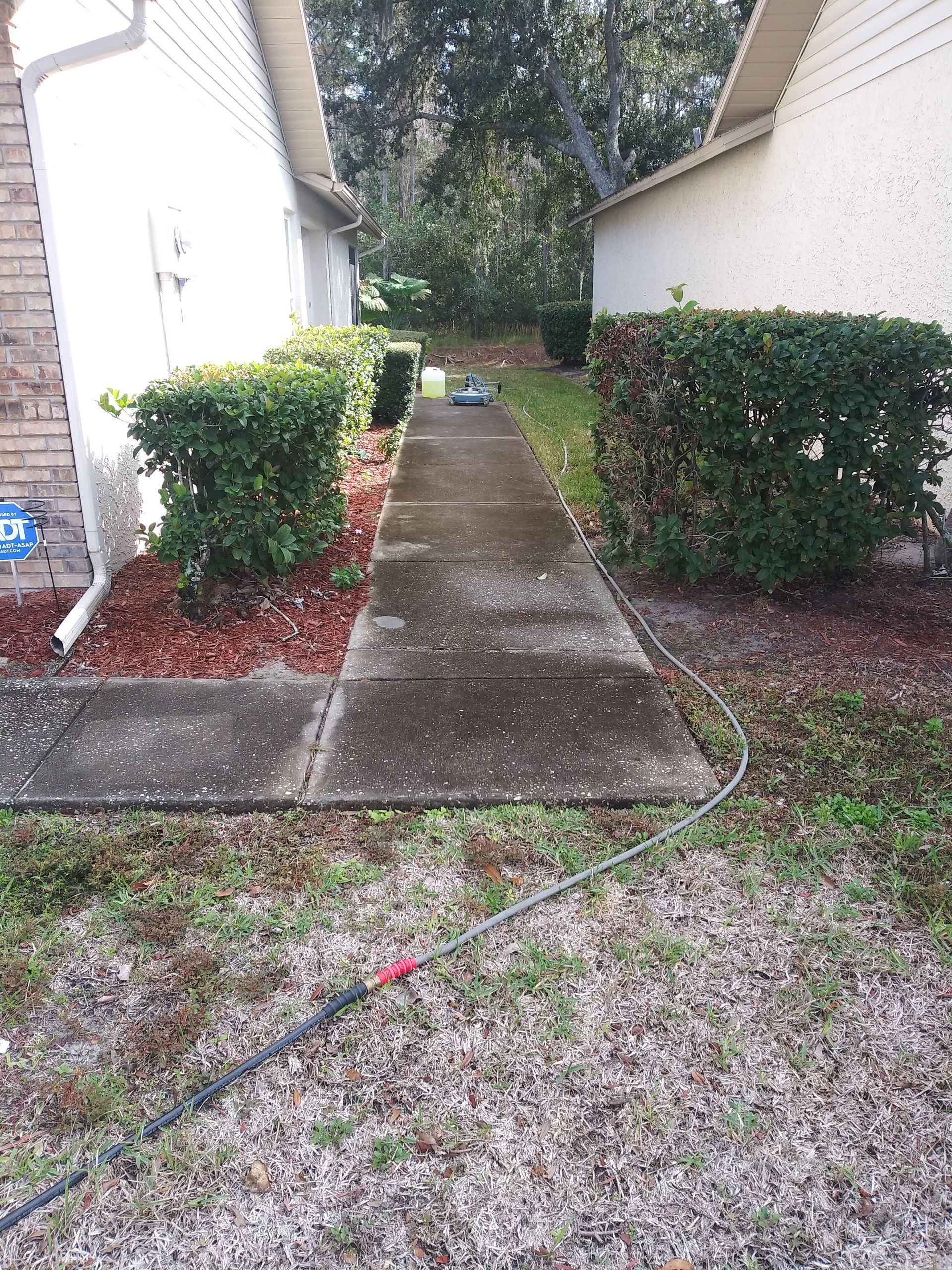 dirty sidewalk before pressure washing