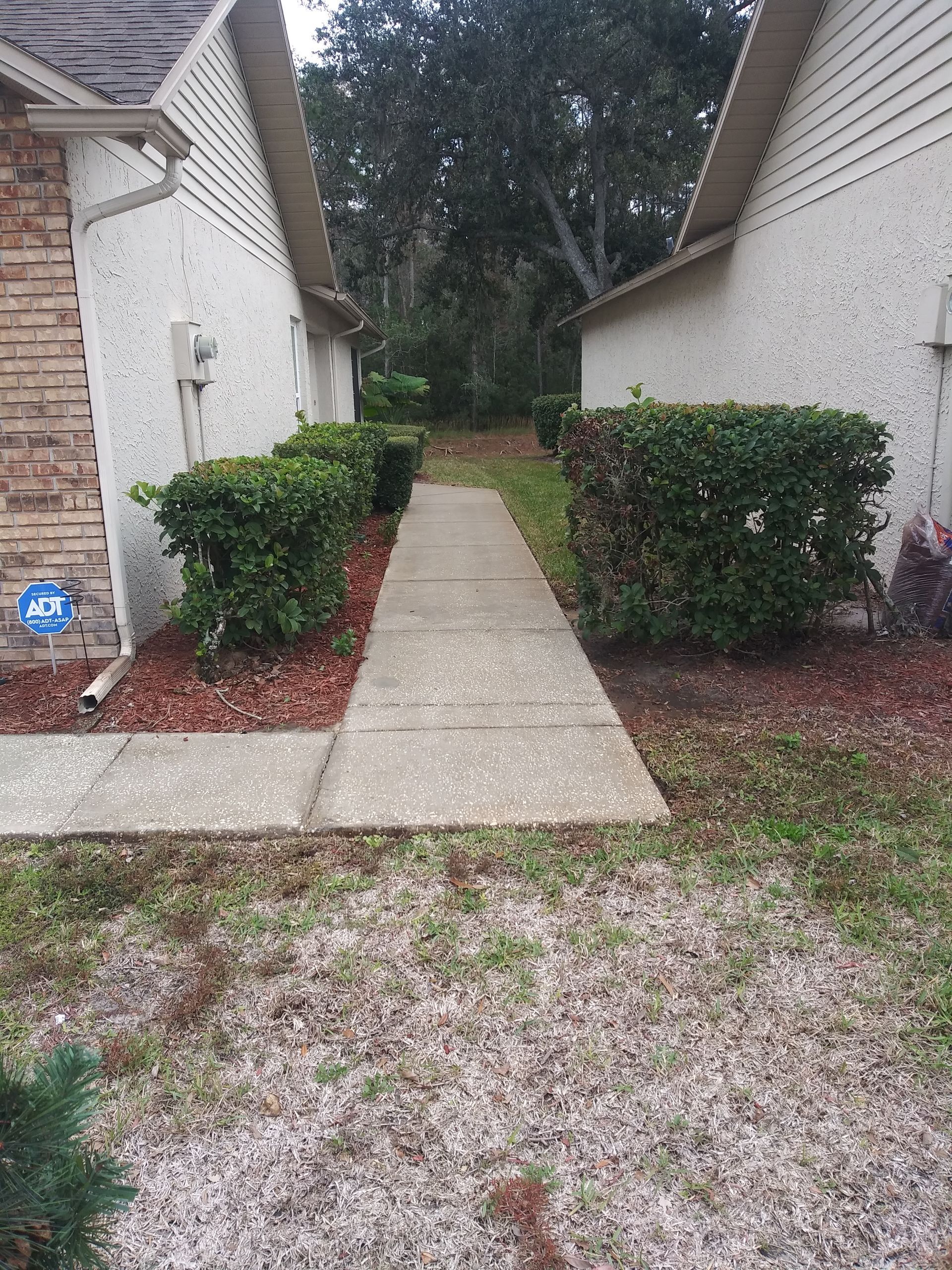 clean sidewalk after pressure washing