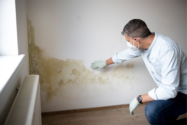 mold-remediation