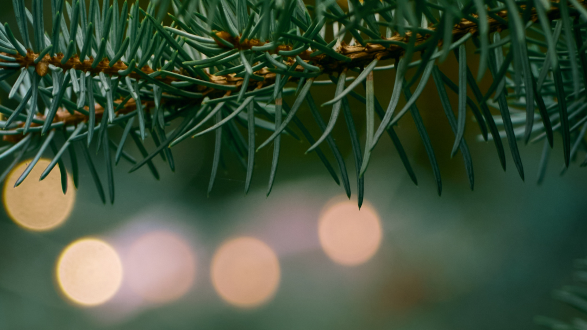Private luxury holiday family photography inside an upscale Salem Oregon home, highlighting timeless décor and elevated portrait styling.