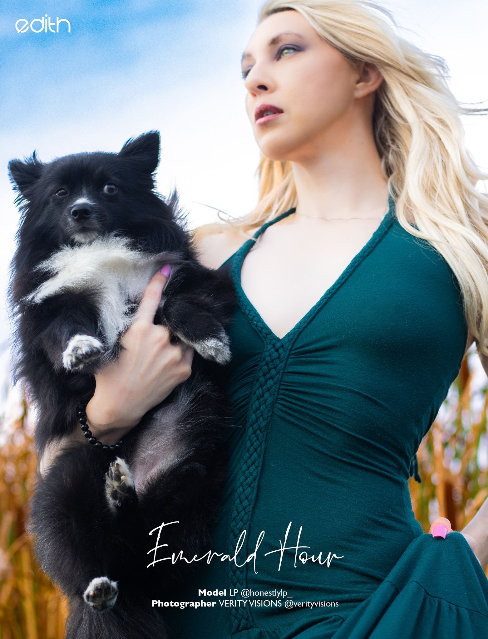 close up dog portrait featured in EDITH Magazine natural light