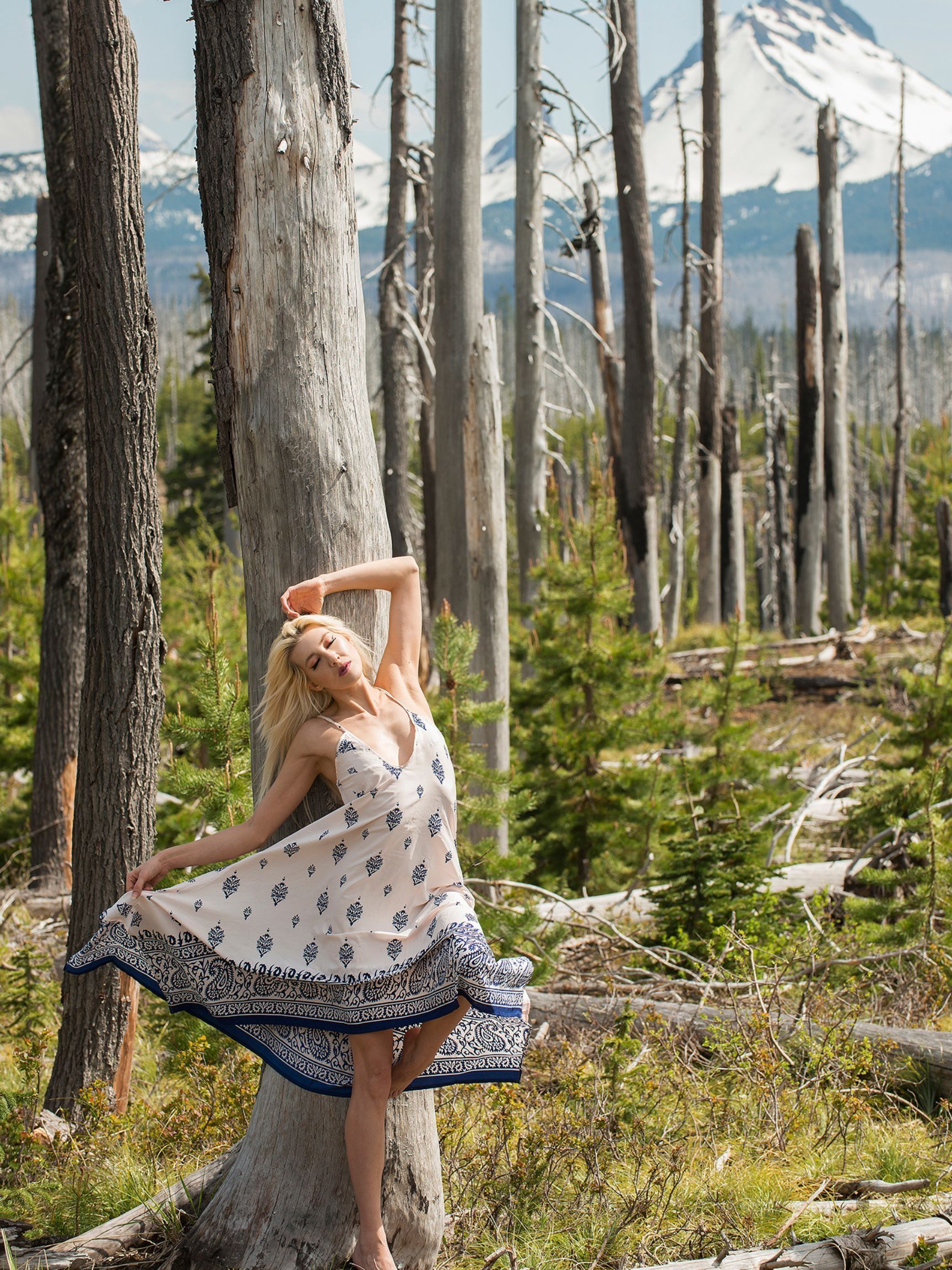 A photo of Owner Lp with Verity Visions in Santiam Oregon