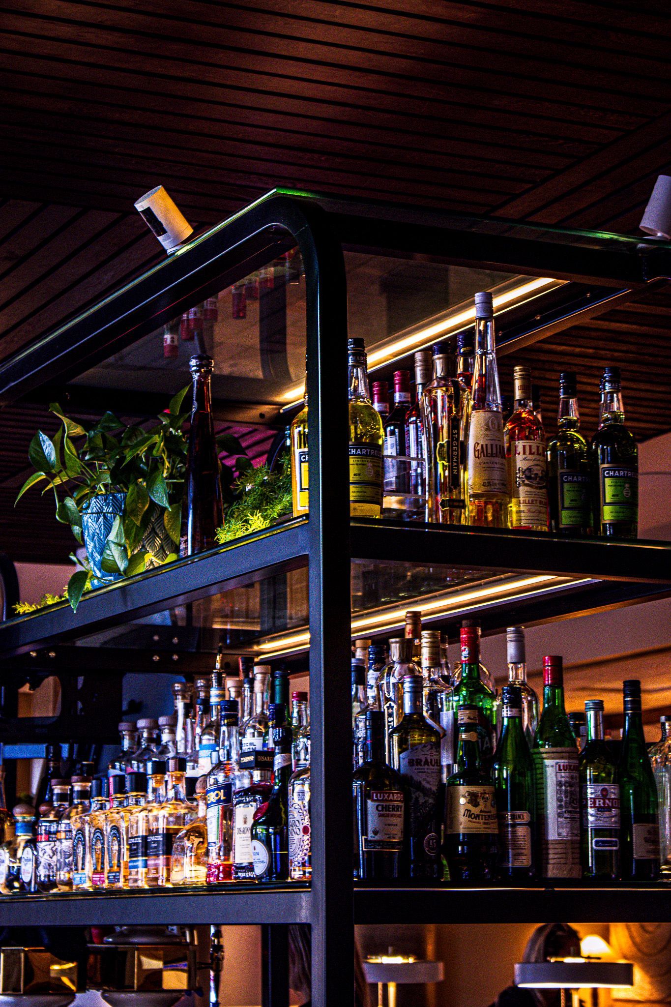 Tight shot of premium alcohol bottles displayed at the Holman Hotel bar in Salem Oregon, highlighting refined glassware, labels, and upscale bar ambiance.