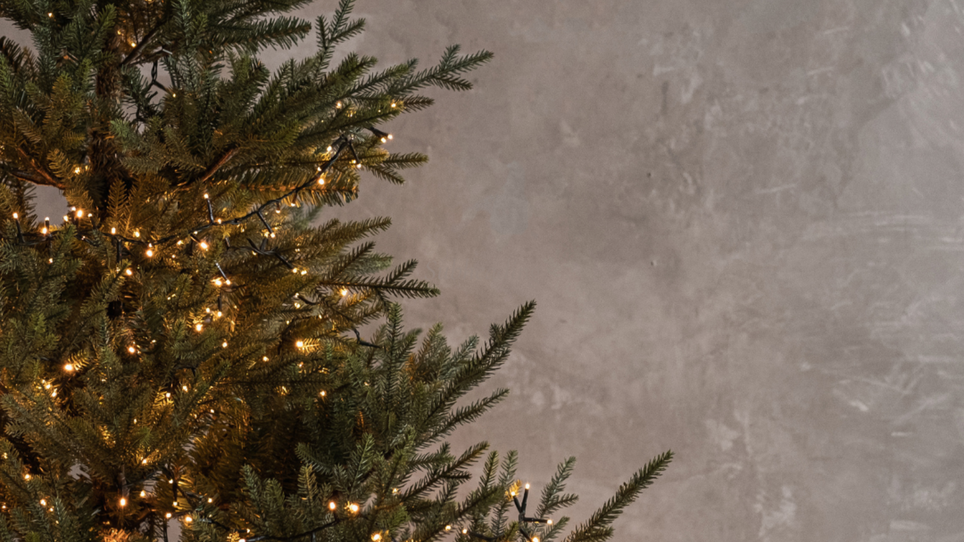 Private luxury holiday family photography inside an upscale Salem Oregon home, highlighting timeless décor and elevated portrait styling.