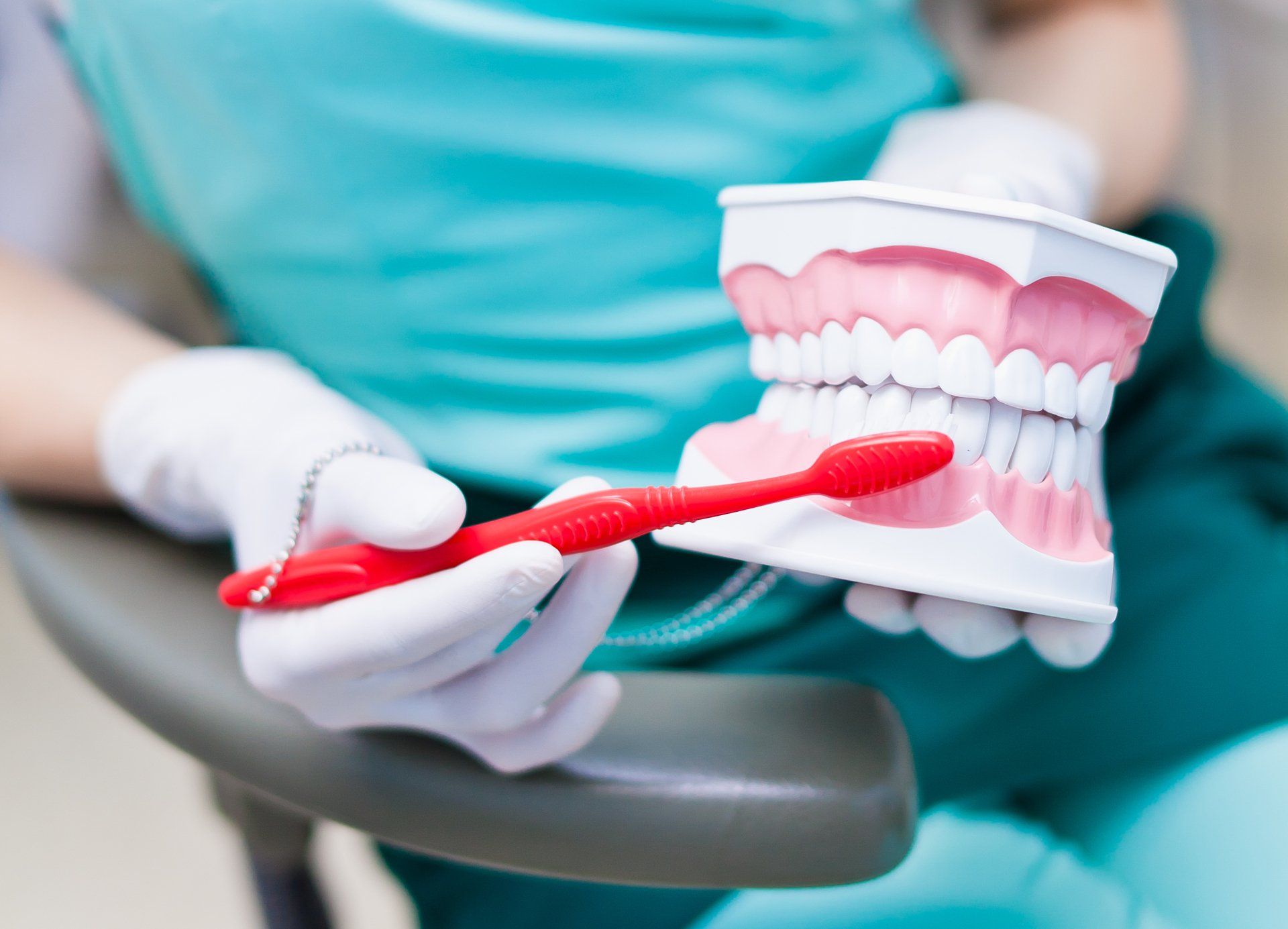 Un dentiste brosse un modèle de dents avec une brosse à dents rouge.