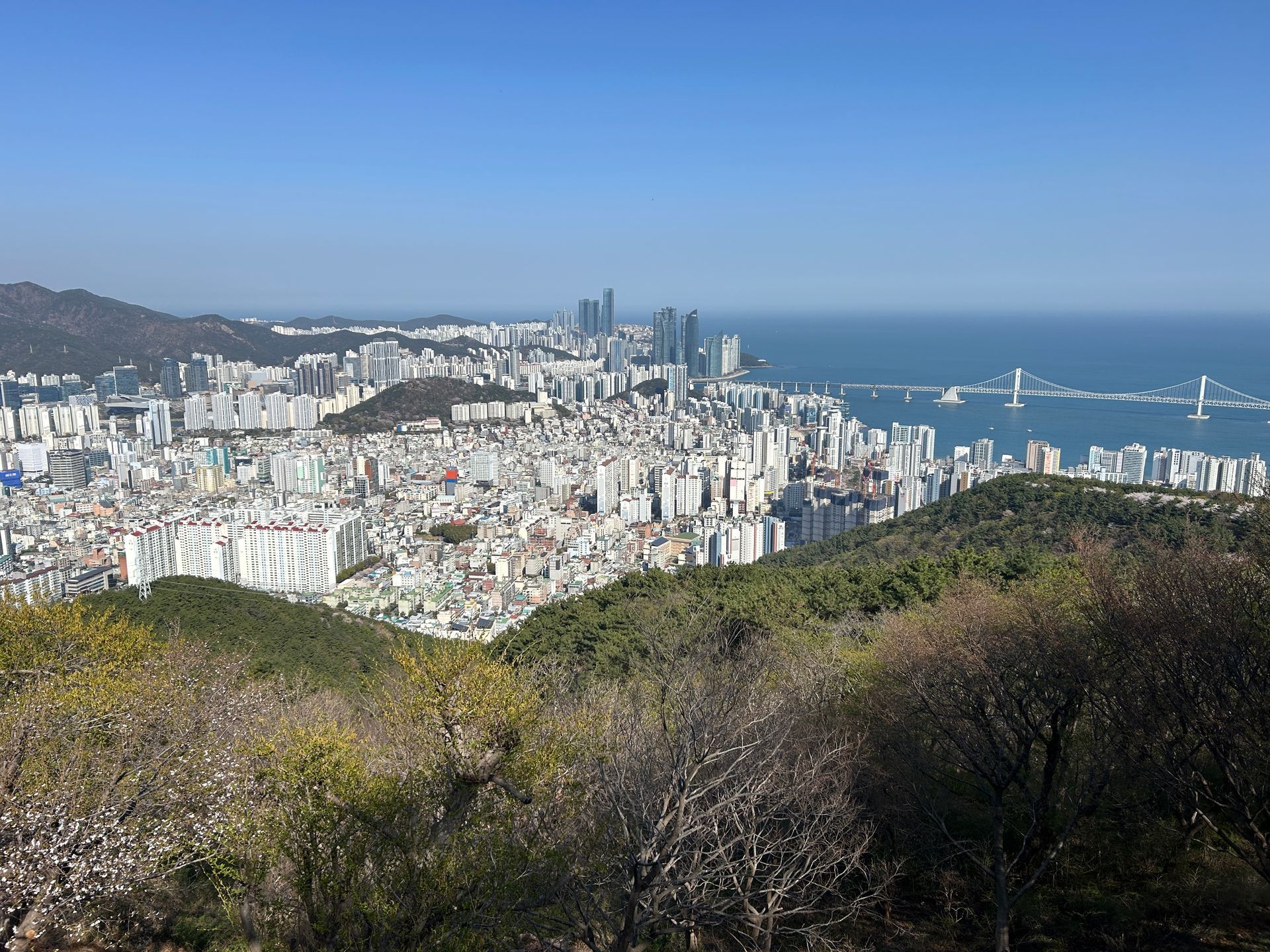 Busan