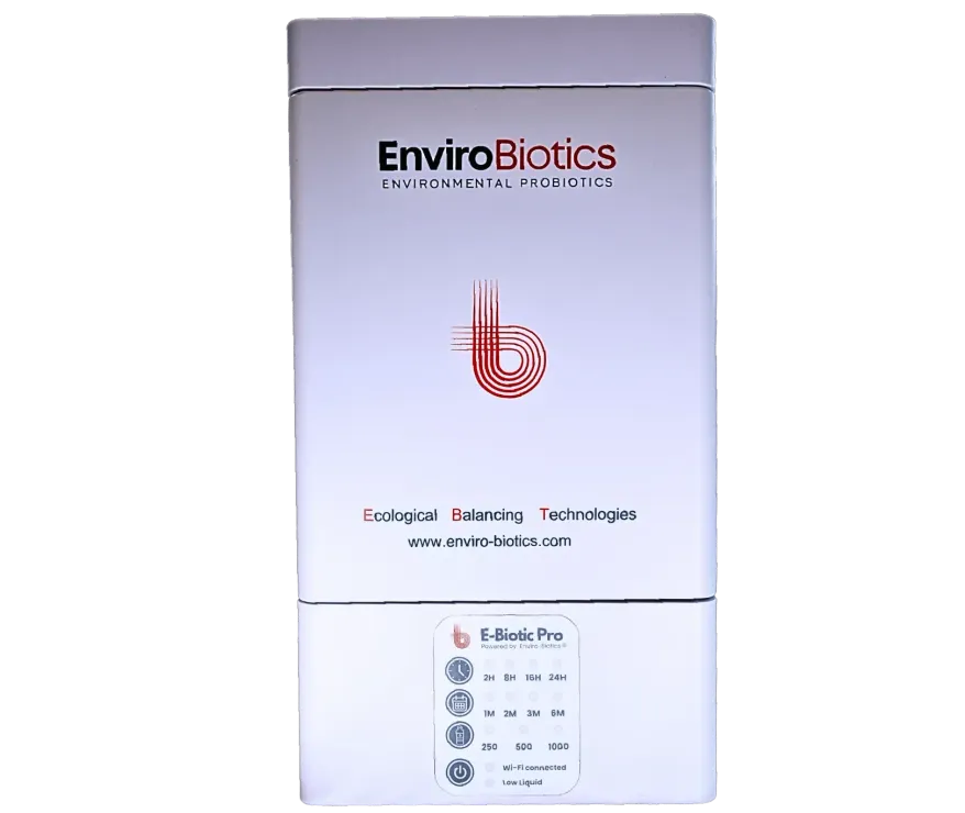 young Asian woman lie down