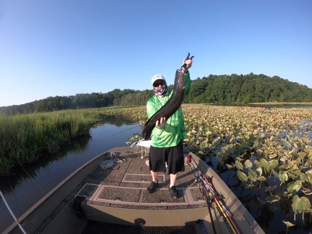 Fishing Guide Fredericksburg, VA Apex Fishing
