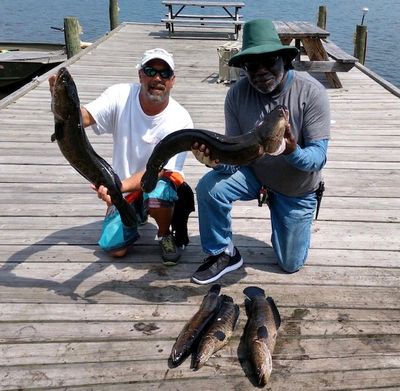 Fishing Guide, Fredericksburg, VA