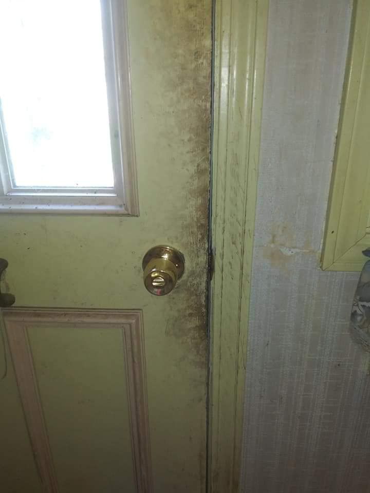 A door with mold growing on it and a window.
