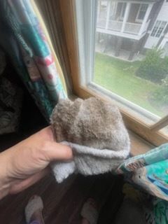 Person holding a gray, fuzzy object near a window. Light brown window frame, view of a building and yard.