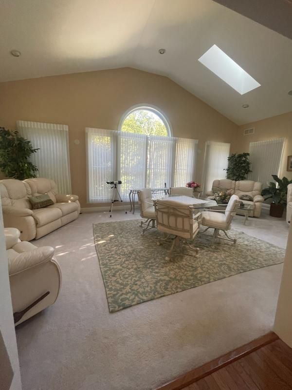 Living room with beige walls, light-colored furniture, a large rug, and a skylight.
