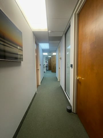 Long hallway with doors on both sides, green carpet, and a landscape painting.