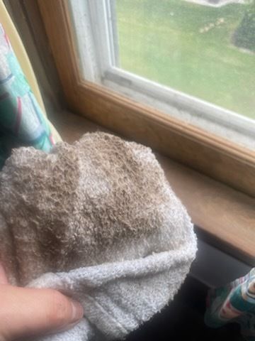 Hand holding a dirty, brown-stained rag near a wooden windowsill and a window with a view of green grass.