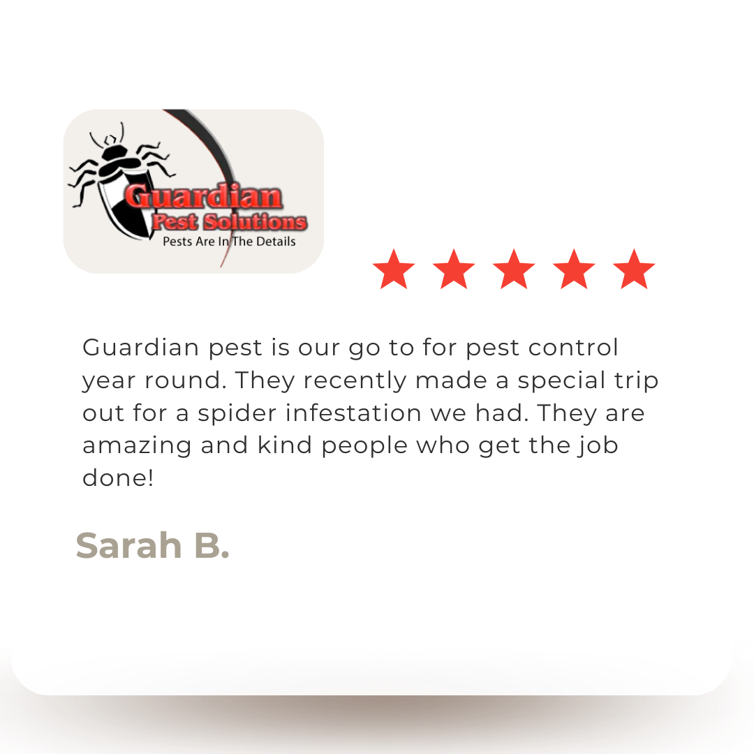 a review of guardian pest solutions by sarah b.