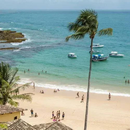 Uma praia com palmeiras e barcos na água