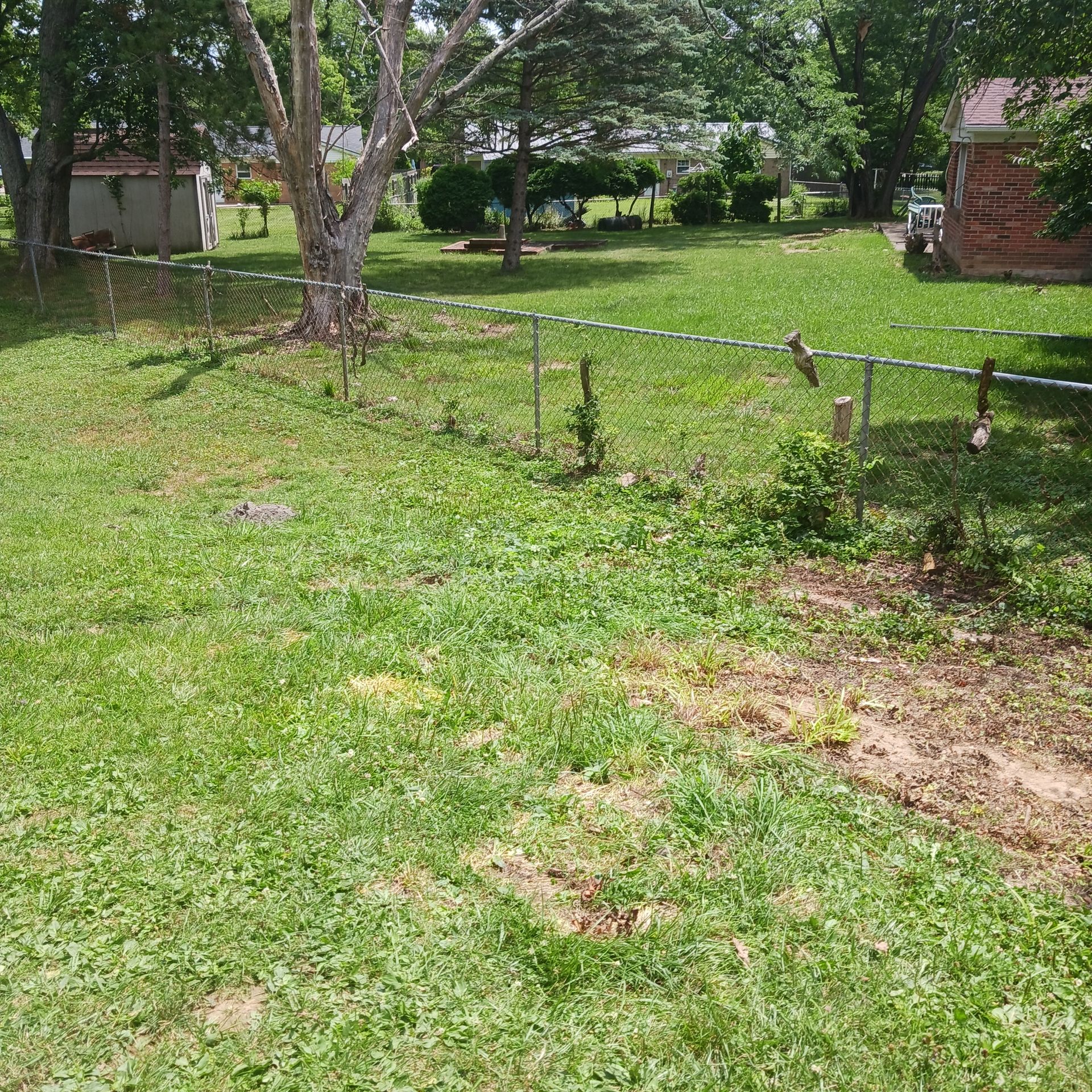 A fenced in yard with a lot of grass and trees
