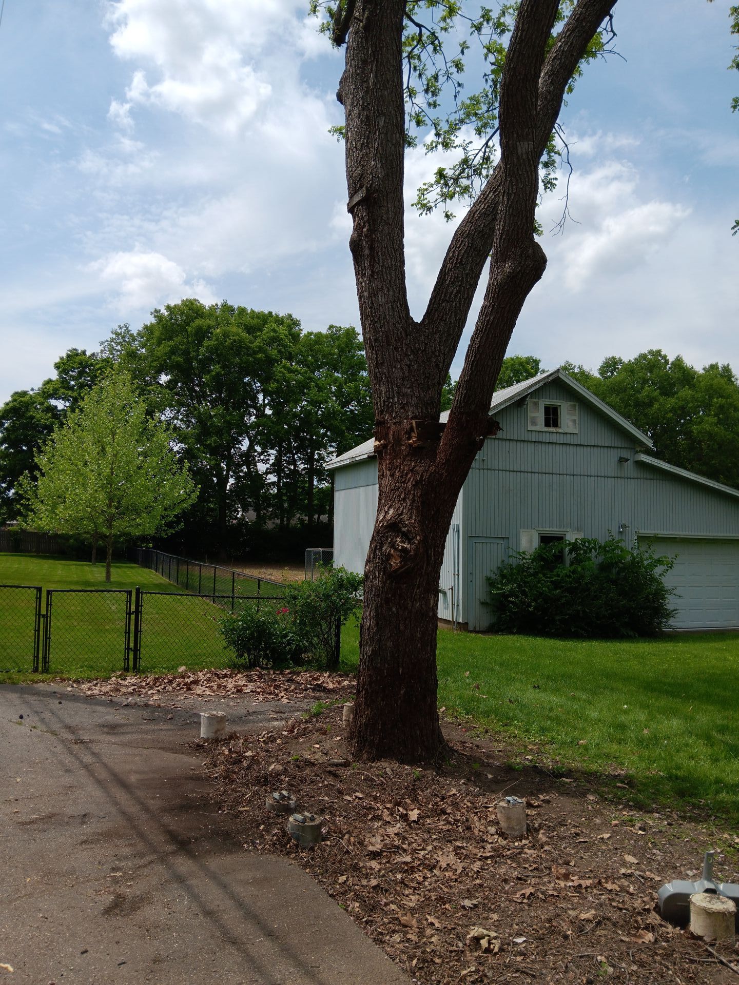 A white barn with a tree in front of it
