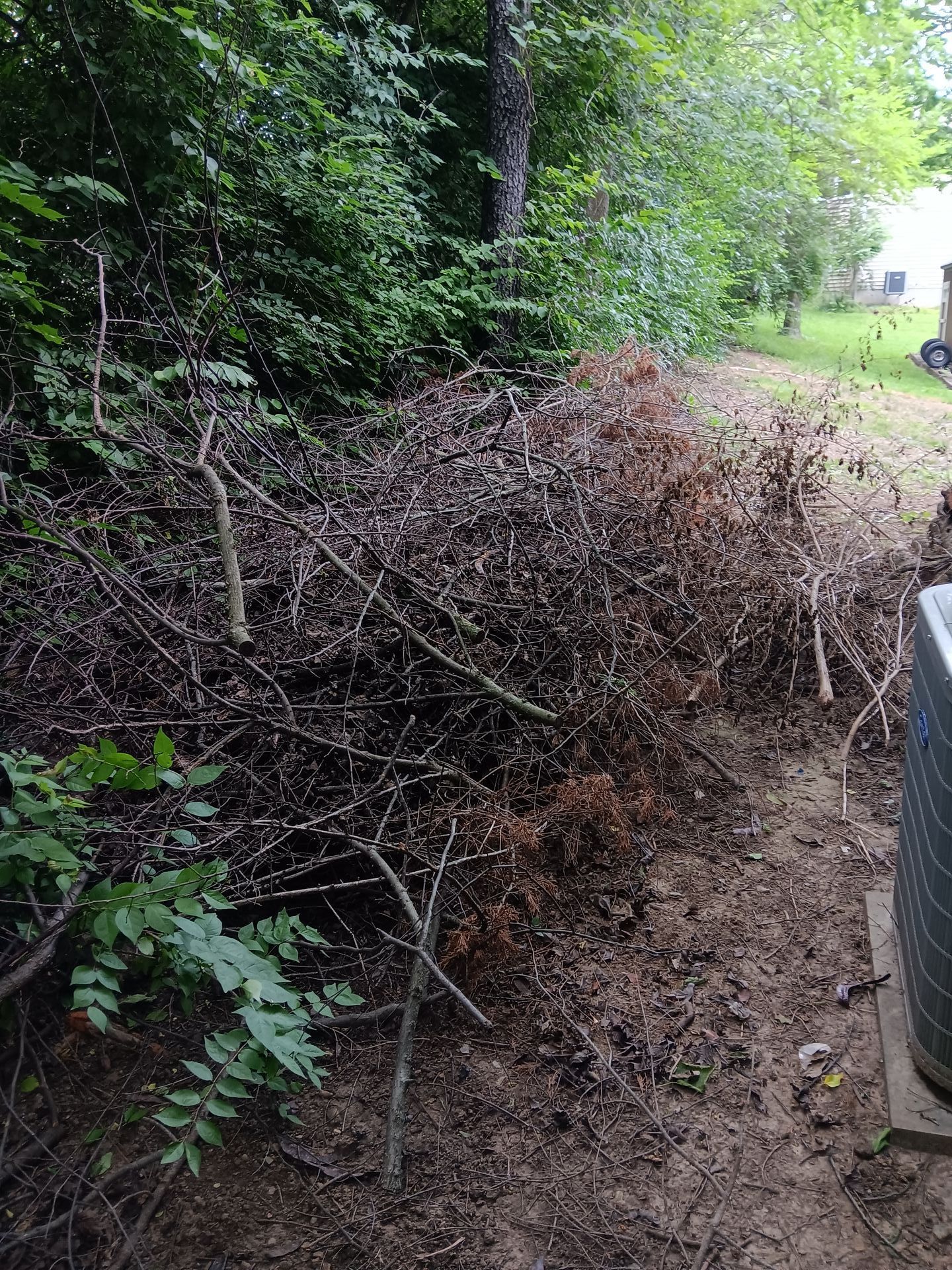 A bunch of branches are laying on the ground next to a fence.