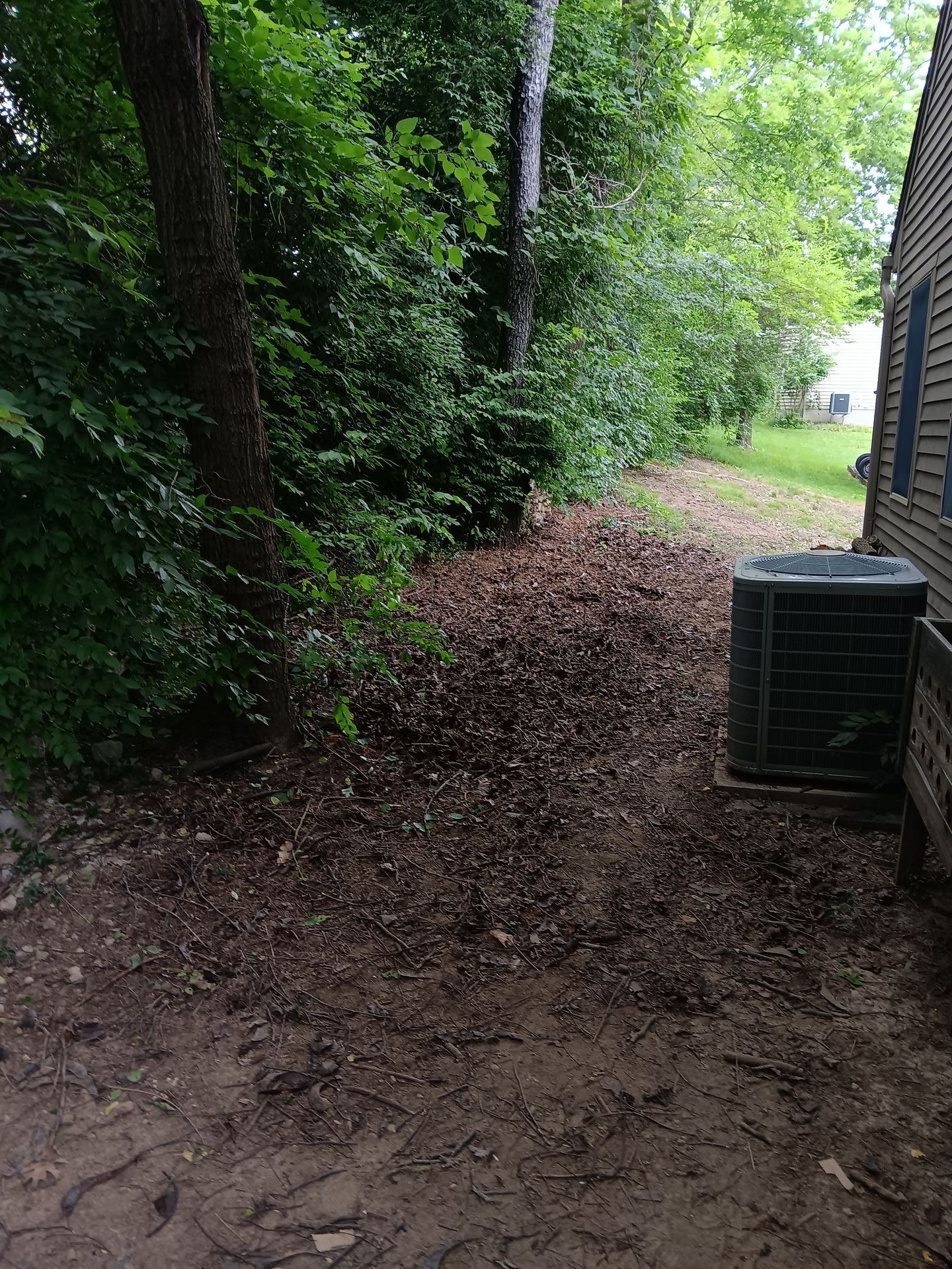 A house is surrounded by trees and dirt in a backyard.