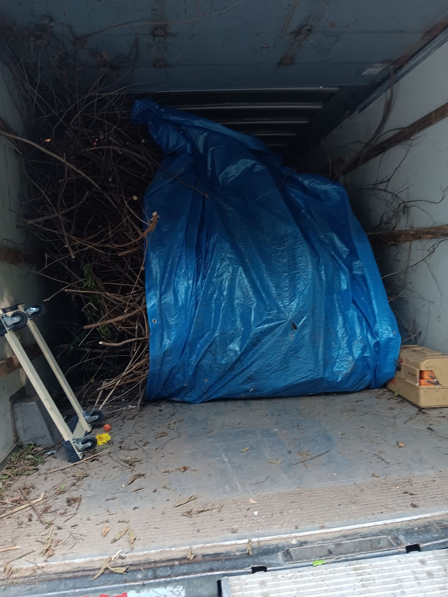 A large bag of branches is sitting in the back of a truck.