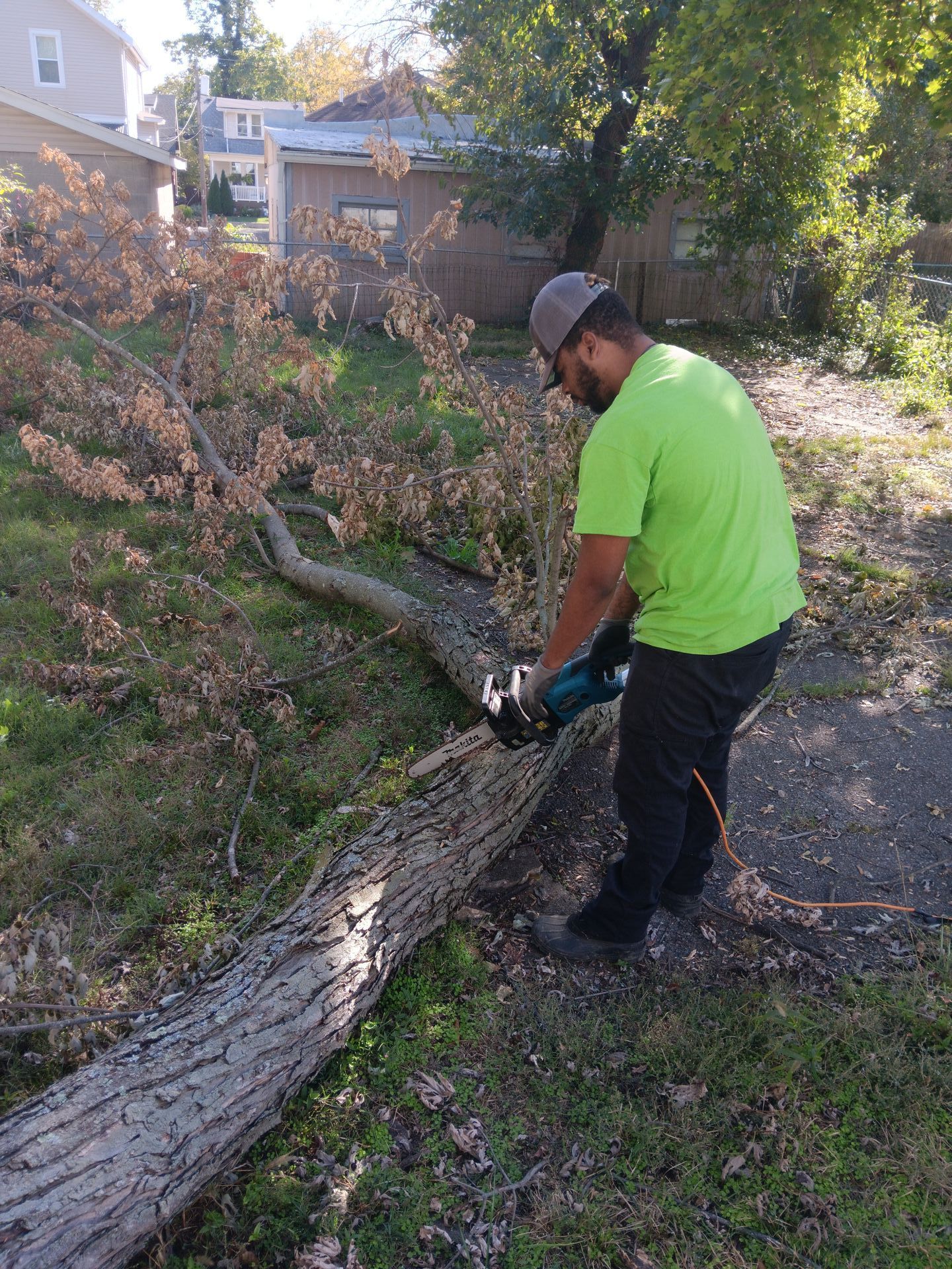 A man is cutting a tree branch with a saw.