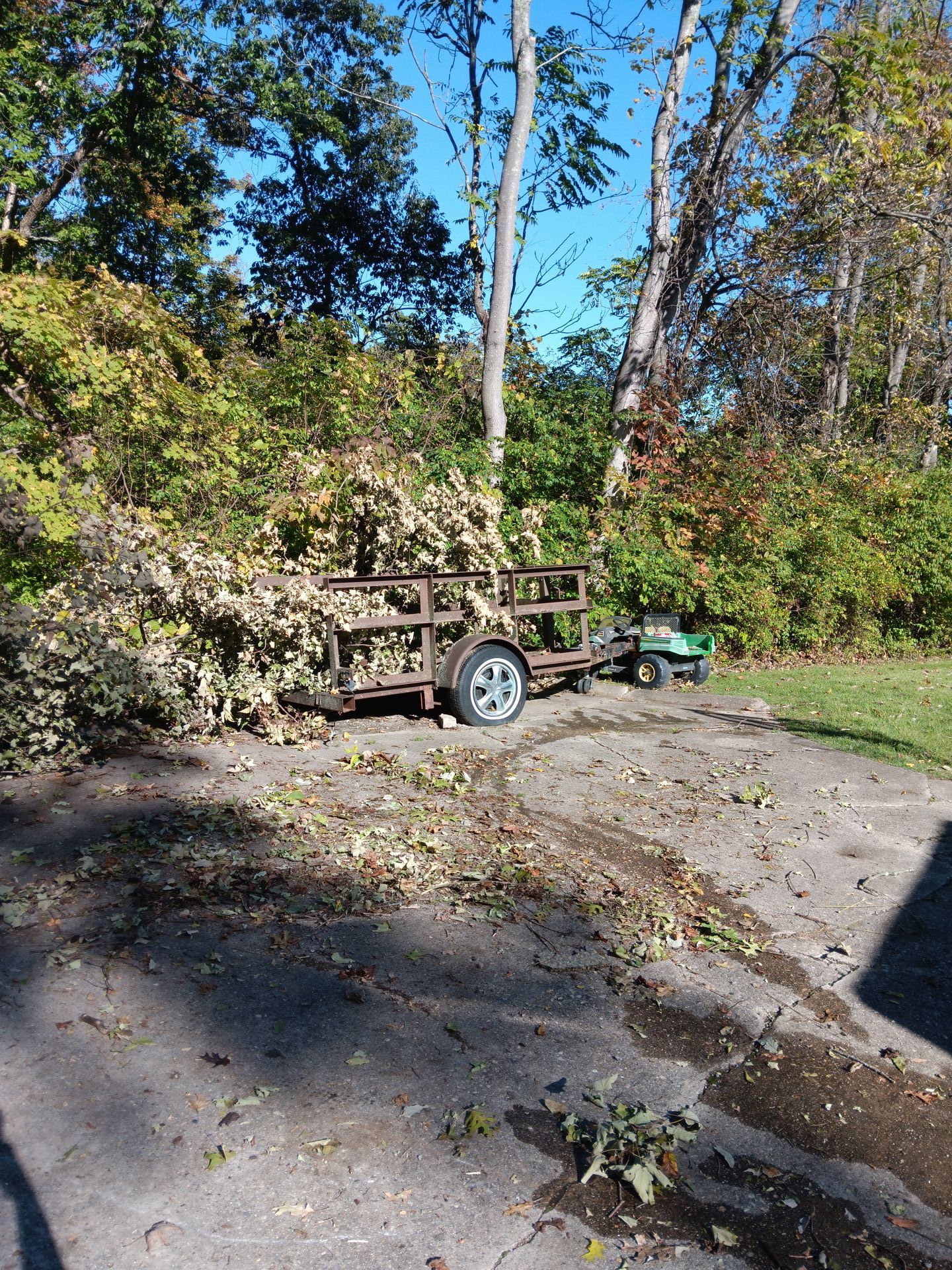 A trailer with a tree on it is parked in a parking lot.