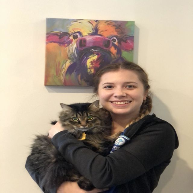 aardvark animal hospital clayton nc